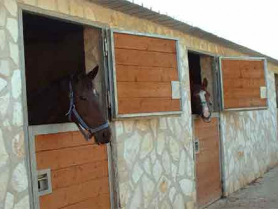 Tenute Cantine Cimaglia