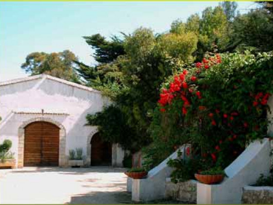 Tenute Cantine Cimaglia