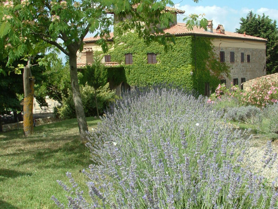 quercia al poggio