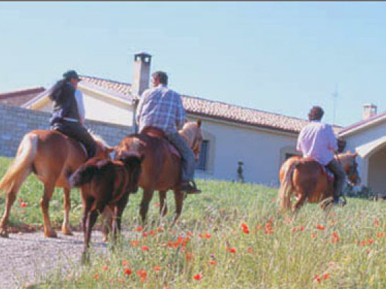 carrera della regina