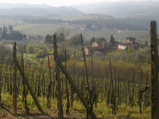 podere la cava