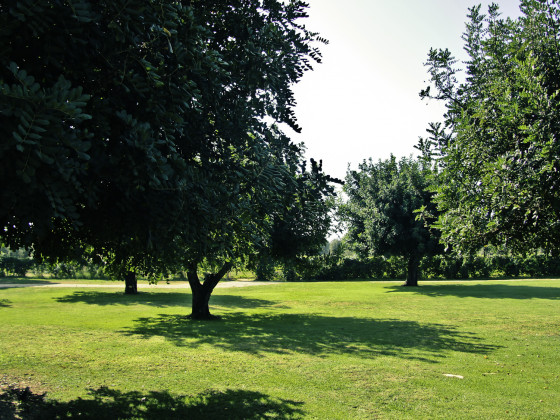 masseria baroni nuovi