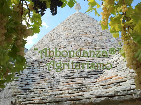 abbondanza®