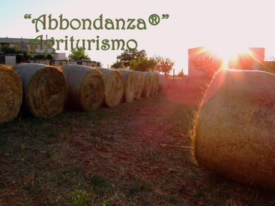 abbondanza®