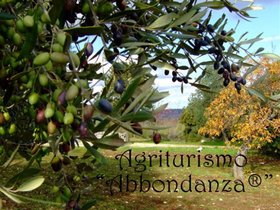 abbondanza®