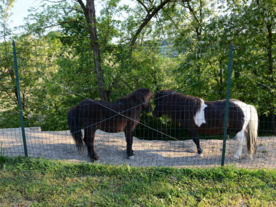 monferrato resort