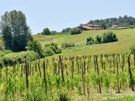 monferrato resort