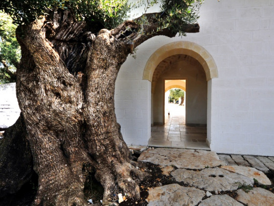 masseria de michele