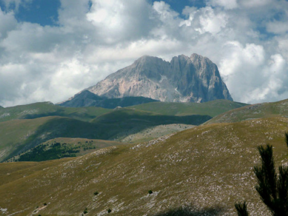 la bifora le lune