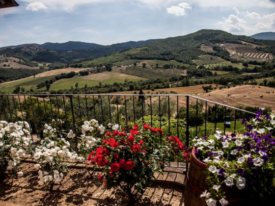 belvedere delle crete