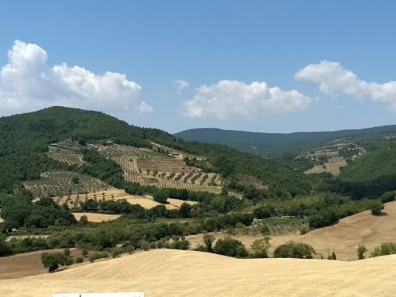 belvedere delle crete