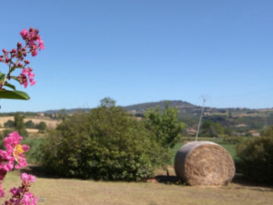 La Locanda Dell' Olmo