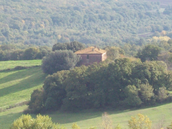 montecalvo