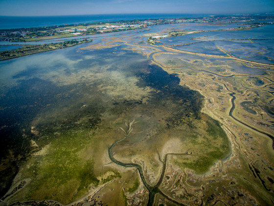 la barena