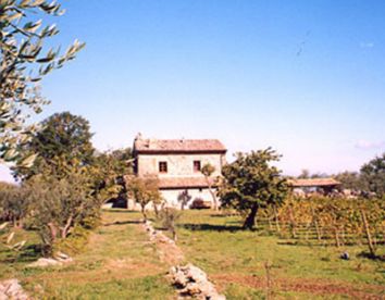 Farm-house La Chiusetta - Orvieto