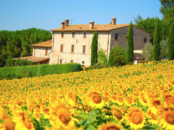 Casale dei Frontini