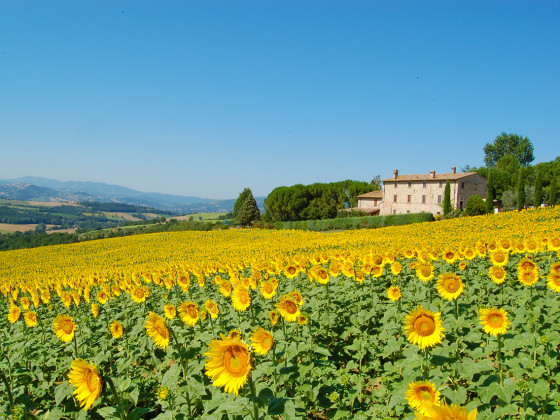 Casale dei Frontini