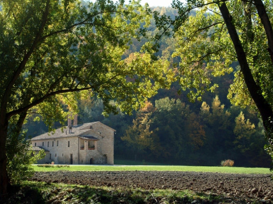 Le Terre Del Verde