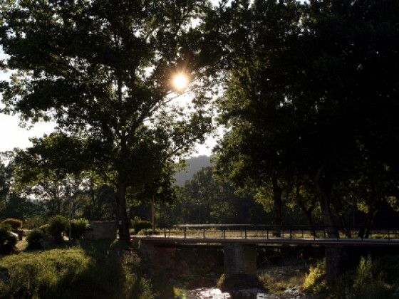 Le Terre Del Verde