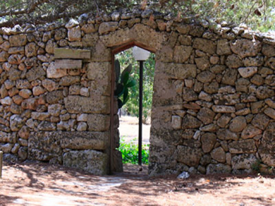 Torre Casciani