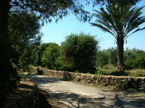 Torre Casciani