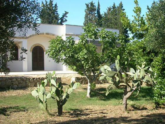 Torre Casciani