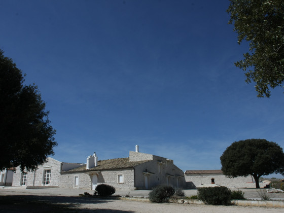 Masseria Torre di Nebbia 