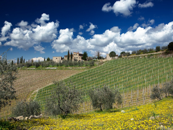 Borgo Casa al Vento