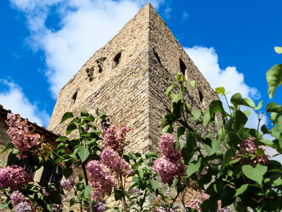 castello di tornano