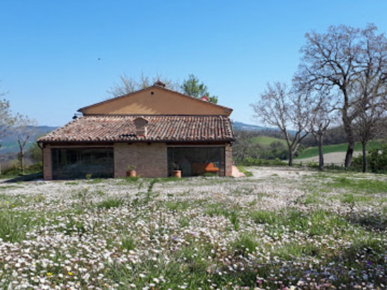 Il posto delle viole