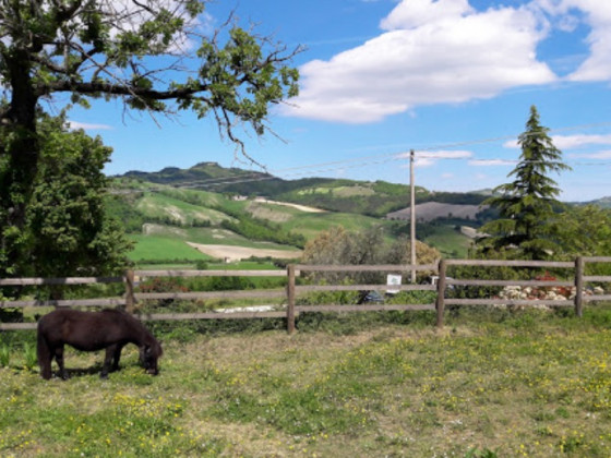 Vecchia Quercia