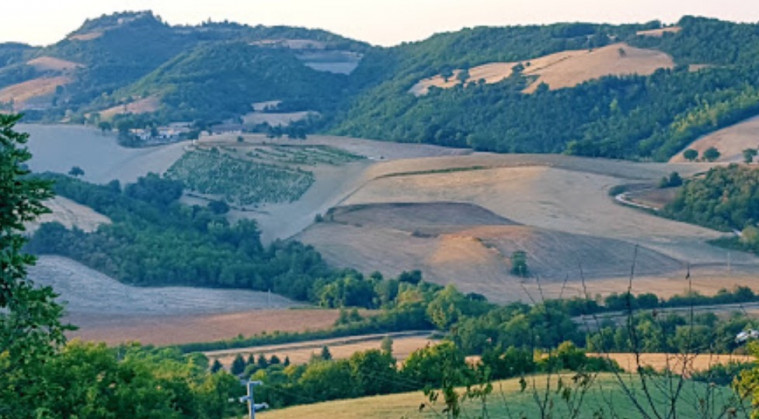 Vecchia Quercia