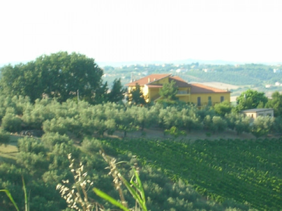 fonte riccione