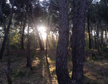 Sicily Country House & Beach foto 16