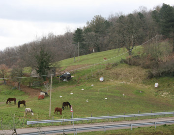 podere la fornace foto 6