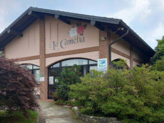 La Camelia