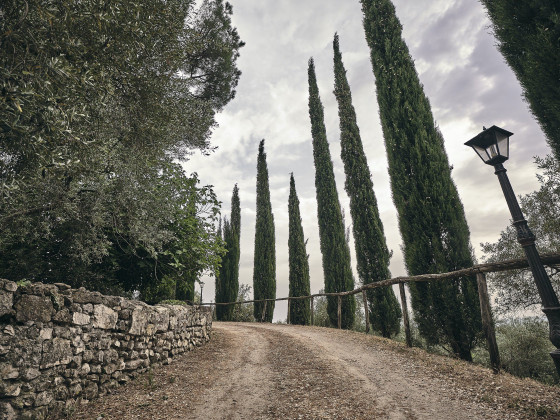 Castello Santa Margherita