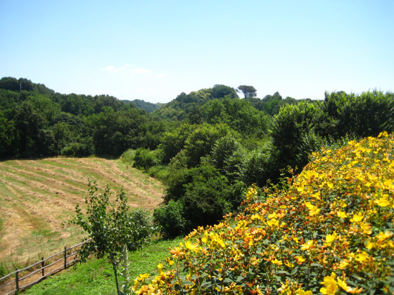 Tenuta Santa Barbara