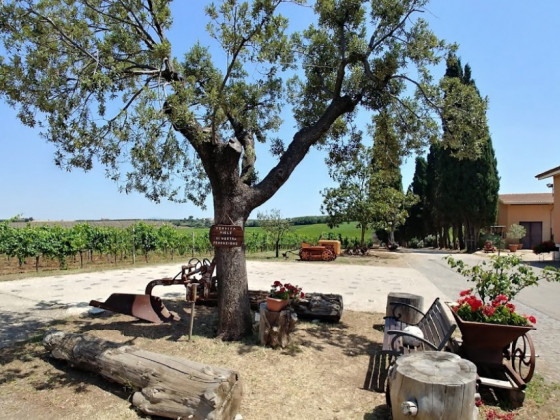 Tenuta Pietra Porzia