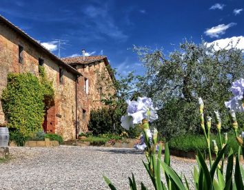 Farm-house Marciano - Siena