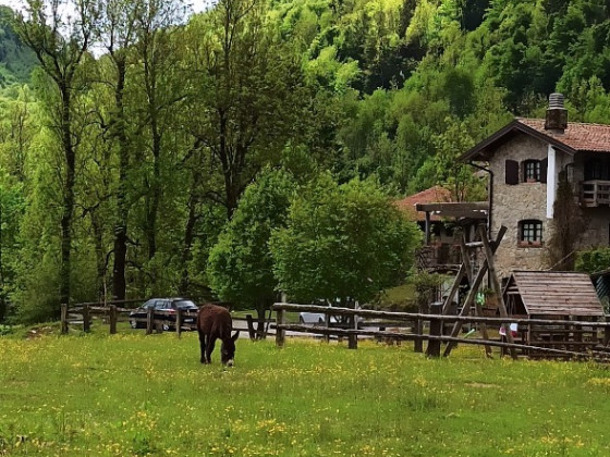 Campo Di Bonis