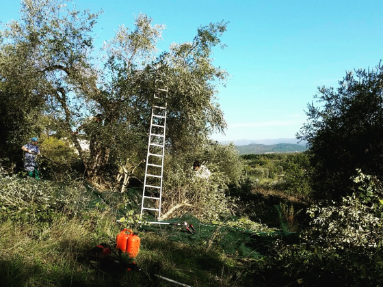 Il Casale Di San Lorenzo