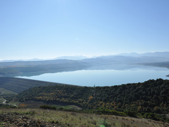 Tenuta Fortunato