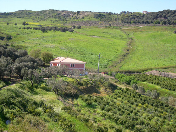 Tenuta Castellesi