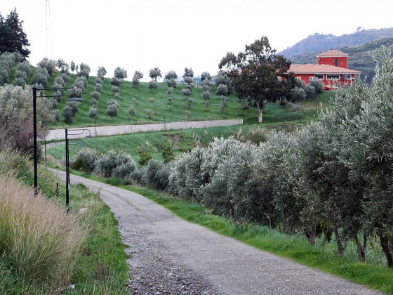 Tenuta Castellesi