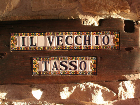 Il Vecchio Tasso