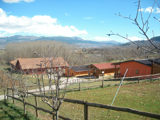 Fattoria Antica Forconia