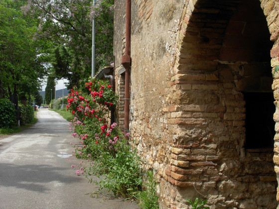  podere santa lucia