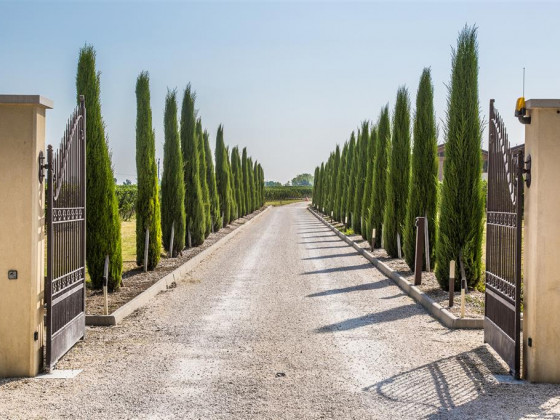 Tenuta la Borghetta