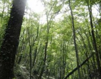 fattoria barbialla nuova